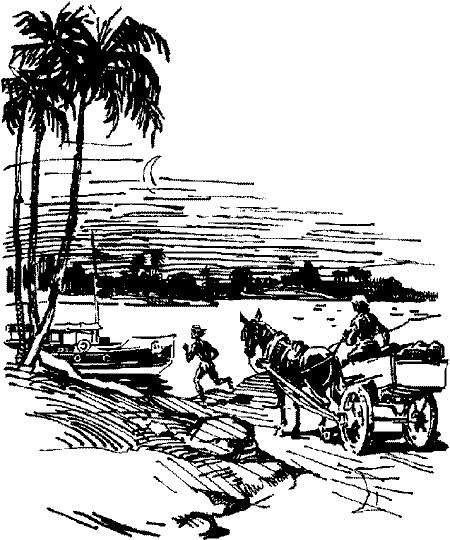 Великий день инков img_13.png