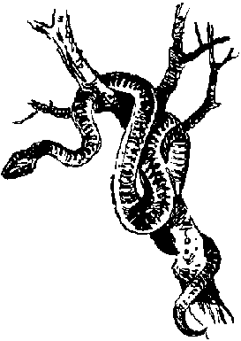 Великий день инков img_18.png