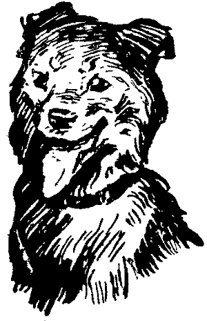 Мой друг Кирочка i_003.png