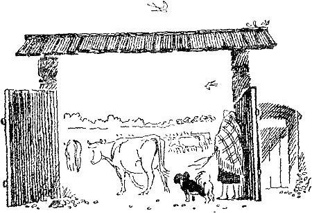 Дамка хочет говорить i_003.png
