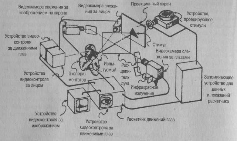 Психология развития: методы исследования img_24.jpeg