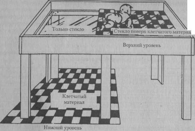 Психология развития: методы исследования img_25.jpeg