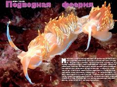 Журнал «Вокруг Света» №6 за 2004 год any2fbimgloader0.jpeg