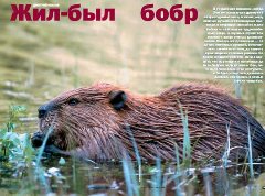 Журнал «Вокруг Света» №6 за 2004 год any2fbimgloader16.jpeg