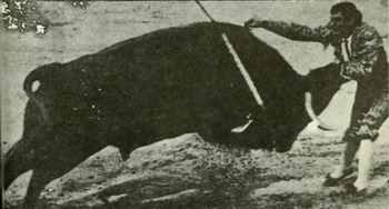 Death in the afternoon _071.jpg