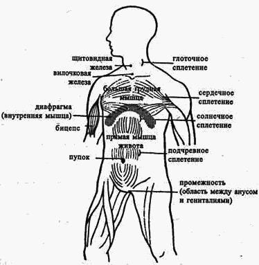 Йога в десяти уроках pic56.png