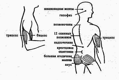Йога в десяти уроках pic57.png