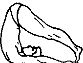 Йога в десяти уроках pic31.png