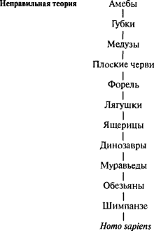 Язык как инстинкт i_325_1.png
