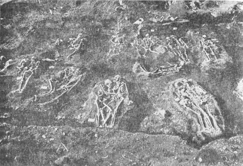 Покорение человеком Тихого океана (Юго-Восточная Азия и Океания в доисторическую эпоху) i_053.jpg