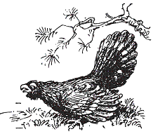 Удивительная биология pic_29.png