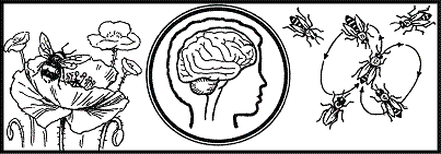 Удивительная биология pic_49.png