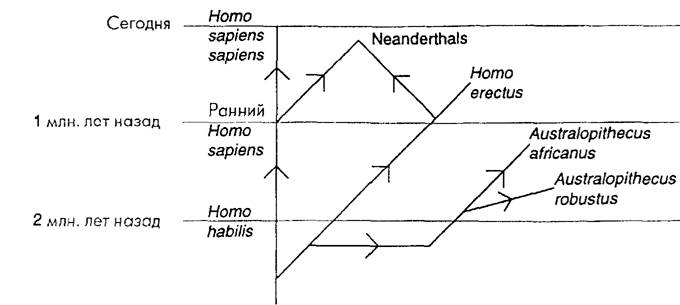 Неизвестная история человечества any2fbimgloader70.jpeg