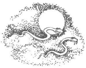 Изгнанник i_005.jpg