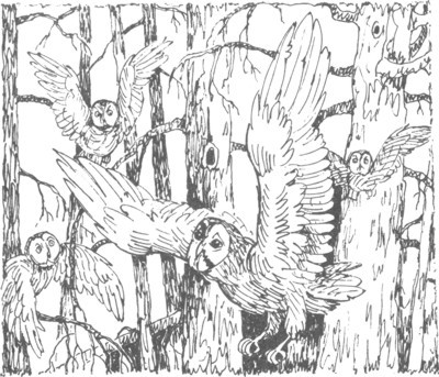 Изгнанник i_006.jpg