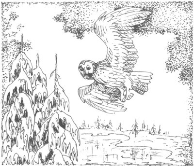 Изгнанник i_023.jpg