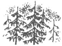 Изгнанник i_024.jpg