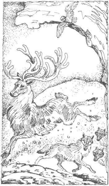 Изгнанник i_026.jpg