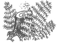 Изгнанник i_029.jpg