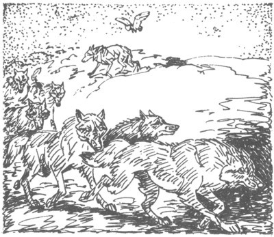 Изгнанник i_036.jpg