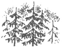Изгнанник i_037.jpg