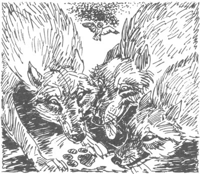 Изгнанник i_038.jpg