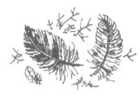 Изгнанник i_007.jpg