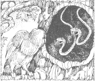 Изгнанник i_008.jpg