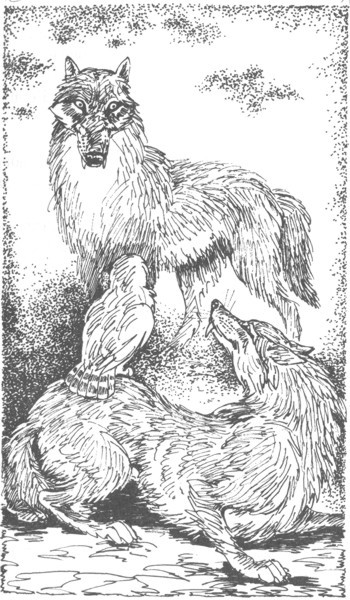 Изгнанник i_039.jpg