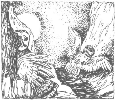 Изгнанник i_043.jpg