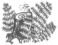 Изгнанник i_044.jpg