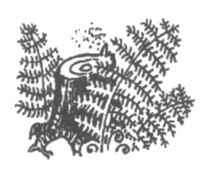 Изгнанник i_049.jpg