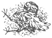 Изгнанник i_051.jpg