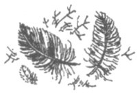 Изгнанник i_058.jpg