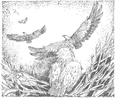 Изгнанник i_013.jpg