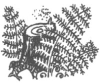 Изгнанник i_016.jpg