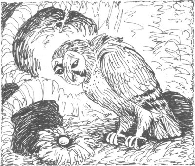 Изгнанник i_019.jpg
