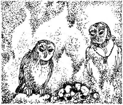Наследник i_021.jpg