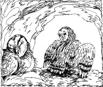 Наследник i_022.jpg