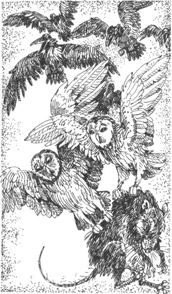 Наследник i_024.jpg