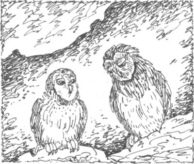 Наследник i_027.jpg