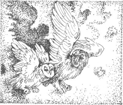 Наследник i_028.jpg