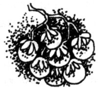 Наследник i_038.jpg