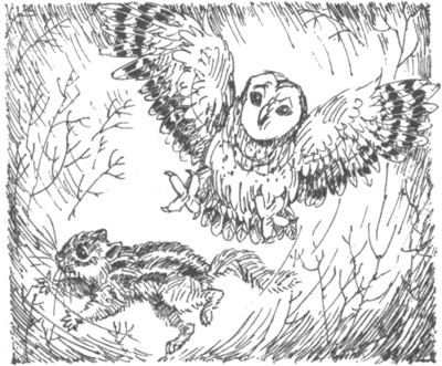 Наследник i_011.jpg
