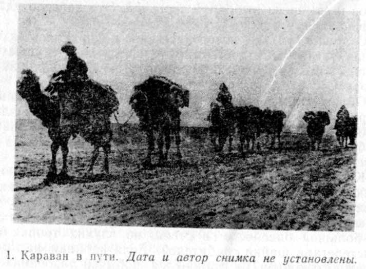 Город на Ишиме img_1.jpeg