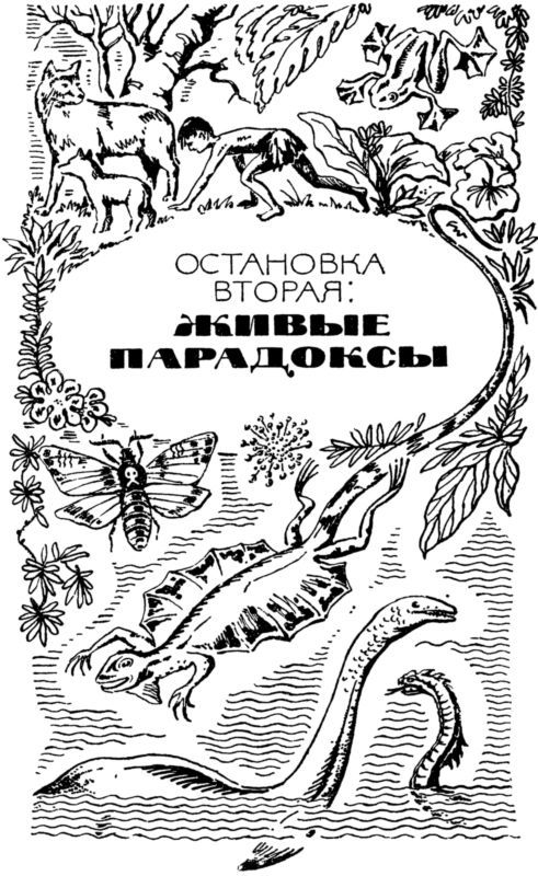 Человек ищет чудо i_009.jpg