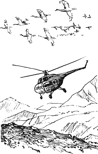 Тысяча дорог Novos113.png