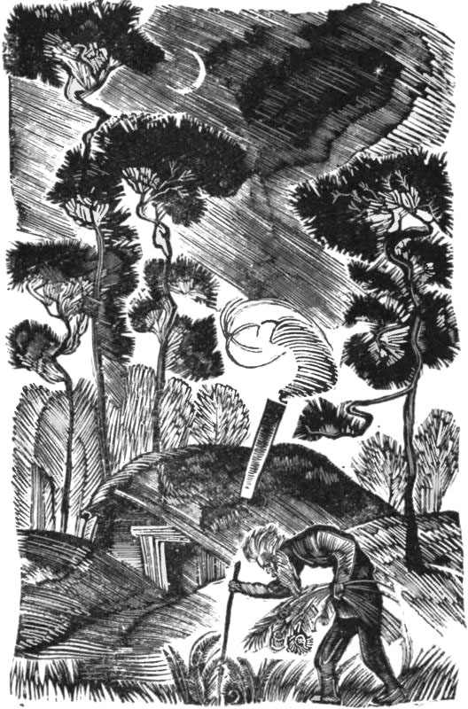 Белый колдун i_004.jpg