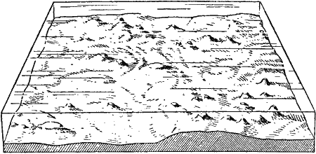 Морское дно i_032.png