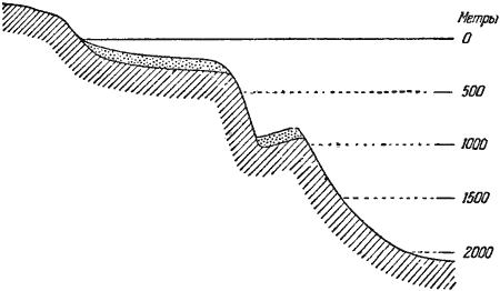 Морское дно i_024.png